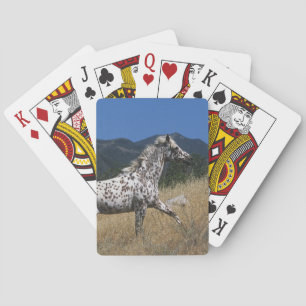 Appaloosa-paard rijdend in bergen speelkaarten