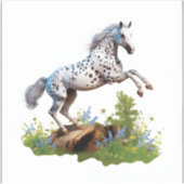 Appaloosa Paard Sticker (Voorkant)