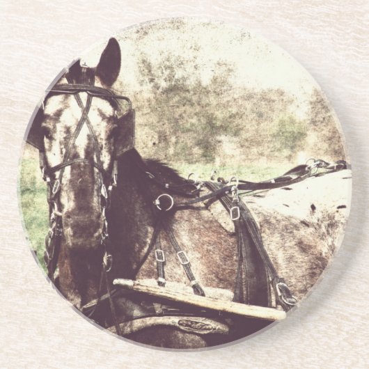 Appaloosa-paard Zandsteen Onderzetter (Voorkant)