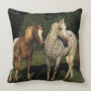 Appaloosa paarden kussen