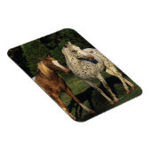 Appaloosa paarden magneet (Rechterzijde)