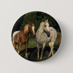 Appaloosa paarden ronde button 5,7 cm