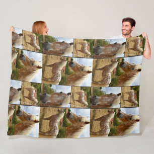 Appaloosa Paardenfotocollage, groot Fleece Deken