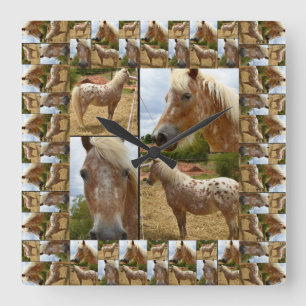 Appaloosa-paardenfotocollage, omhuld, vierkante klok