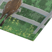 Appaloosa Pony Snijplank (Hoek)