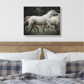 Appaloosa Running Free Canvas Afdruk (Insitu (Slaapkamer))