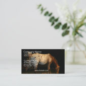 Appaloosa Visitekaartje (Staand voorkant)