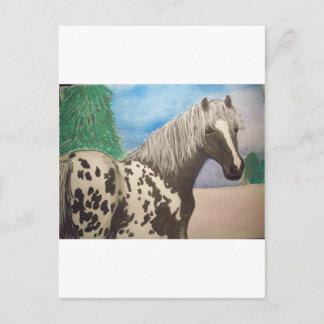 Appaloosa winter briefkaart
