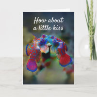 APPARAAT **JUBILEUM** KISS OF TWEE VOOR "U"