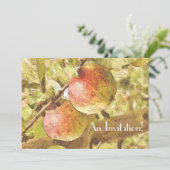 APPARATEN KAART (Staand voorkant)