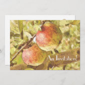 APPARATEN KAART (Voorkant / Achterkant)