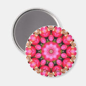 APPARATEN MAGNEET (Voorkant / Achterkant)