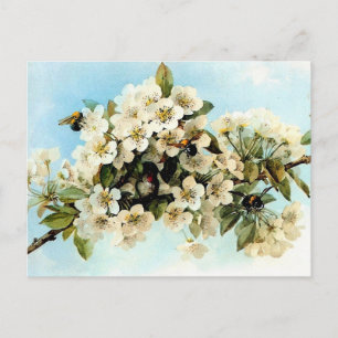 appel bloesems briefkaart