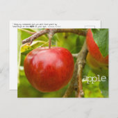 "appel" Briefkaart uit Spreuken 7:2 (Voorkant / Achterkant)