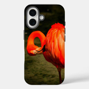 APPEL iPHONE HOES MET EEN FLAMINGO ONTWERP