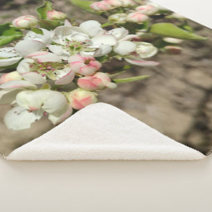 Appelbloem Sherpa Deken