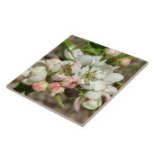 Appelbloem Tegeltje (Zijkant)