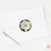 Appelbloesem Amaryllis Romantische Sticker (Envelop)