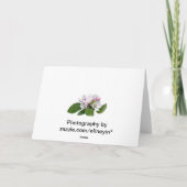 Appelbloesem briefkaart (Achterkant)