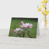 Appelbloesem briefkaart (Gele Bloem)