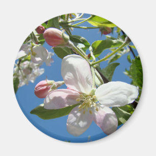 APPELBLOESEM MAGNETEN Roze Bloesem Appel