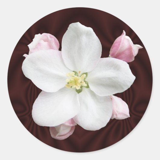Appelbloesem ~ sticker (Voorkant)