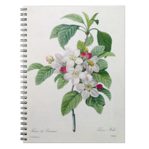 Appelbloesem, uit 'Les Choix des Plus Belles Notitieboek