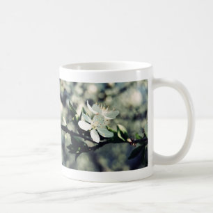 Appelbloesems lente mok