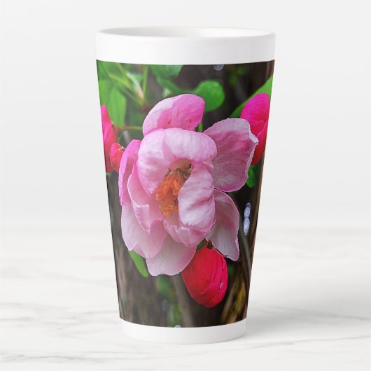 APPELBLOSSOM LATTE MOK (Voorkant)