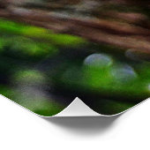 APPELBLOSSOM PERFECT POSTER (Hoek)