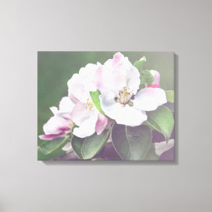 Appelboom Bloesem Lente Canvas Muurkunst Afdruk