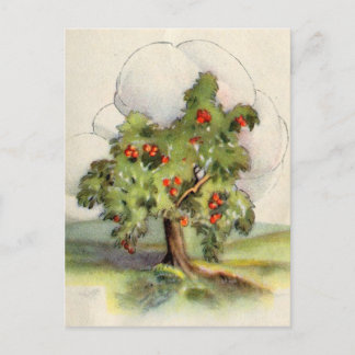 appelboom briefkaart