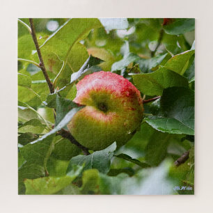 Appelboom Moeilijk Groen Bos Volle Seizoen Legpuzzel