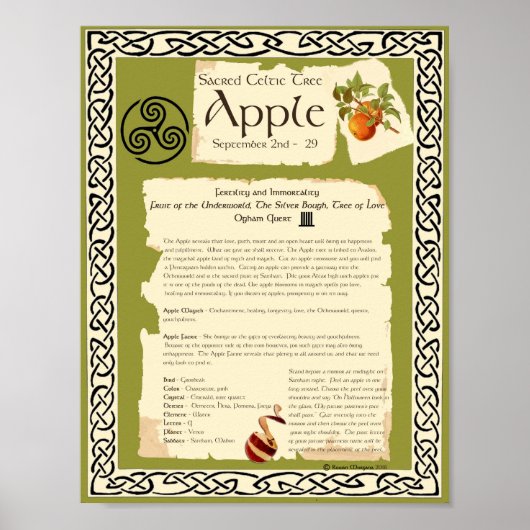 APPELCELTISCHE ZACRED TREE POSTER (Voorkant)