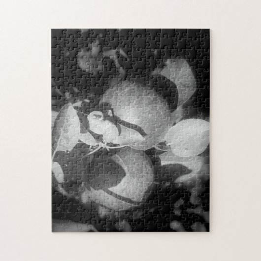 Appelen in zwarte en witte Natuur Legpuzzel (Verticaal)