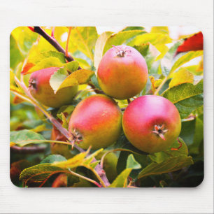 Appelen op de boom muismat