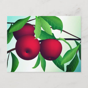 "Appelen op een bijkantoor" Briefkaart
