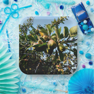 Appelen Papieren Bordje