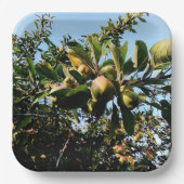 Appelen Papieren Bordje (Voorkant)