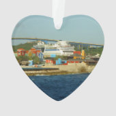 Appeler chez le Curaçao (dos)