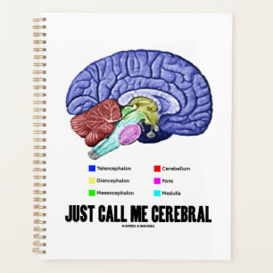 Appelez-Moi Cérébral Cerveau Humour