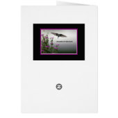 Appelez-moi s'il vous plaît (Dos)