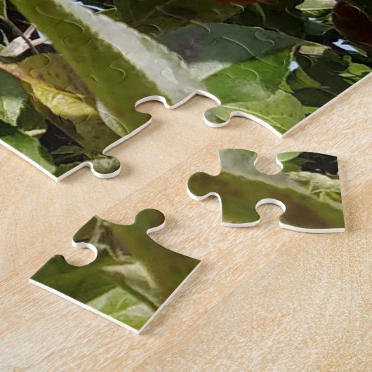 Appels aan de appelboom legpuzzel (Zijkant)