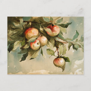 Appels aan een tak briefkaart