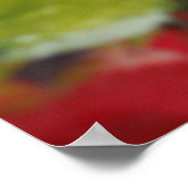 appels afdrukken poster (Hoek)