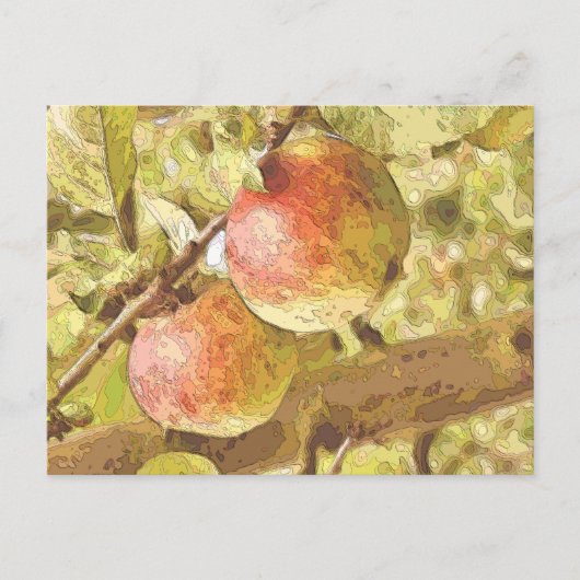 APPELS BRIEFKAART (Voorkant)