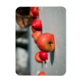 Appels in de sneeuw magneet (Verticaal)