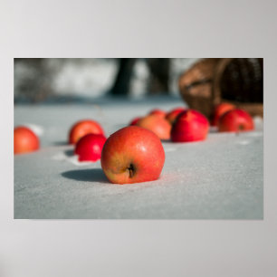 Appels in de sneeuw poster