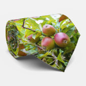 Appels mode stropdas (Opgerold)