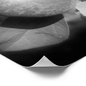 Appels op boom zwart en wit spiegel Abstract Poster (Hoek)